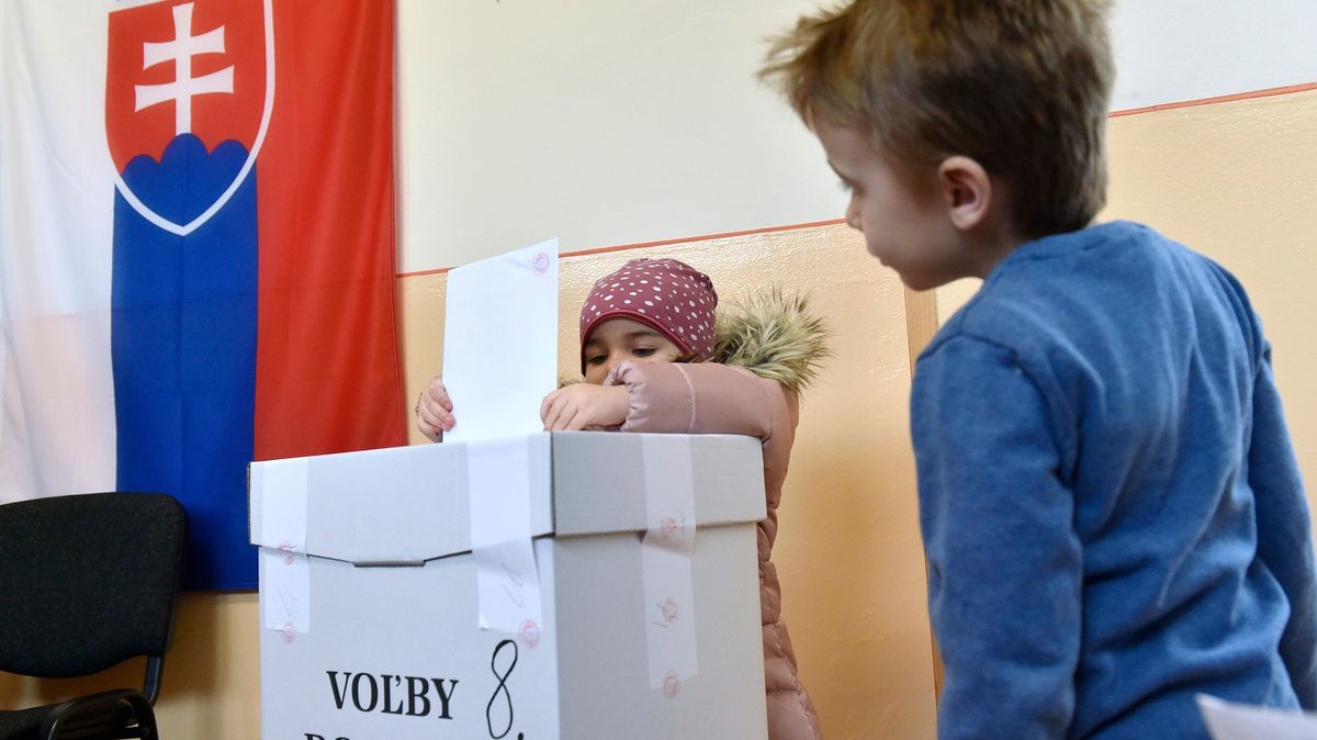 Favoritem voleb u mladých Slováků je strana Progresivní Slovensko